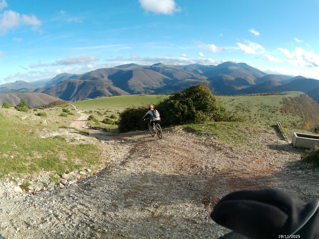 WhatsApp Image 2025-12-01 at 13.30.50