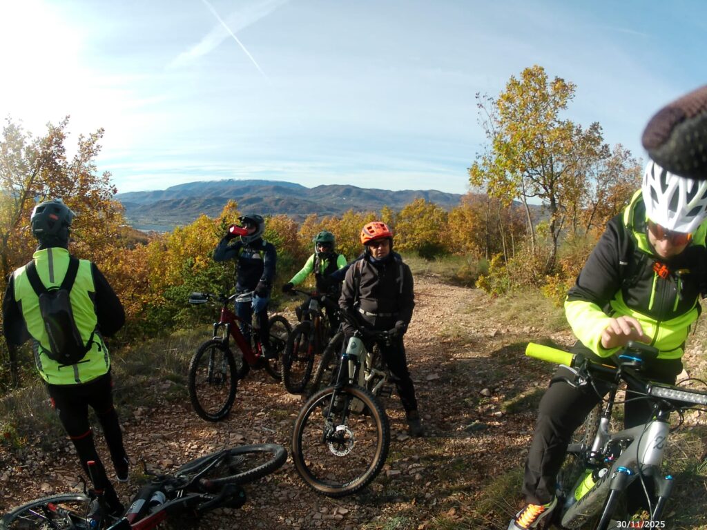 WhatsApp Image 2025-12-01 at 13.31.44