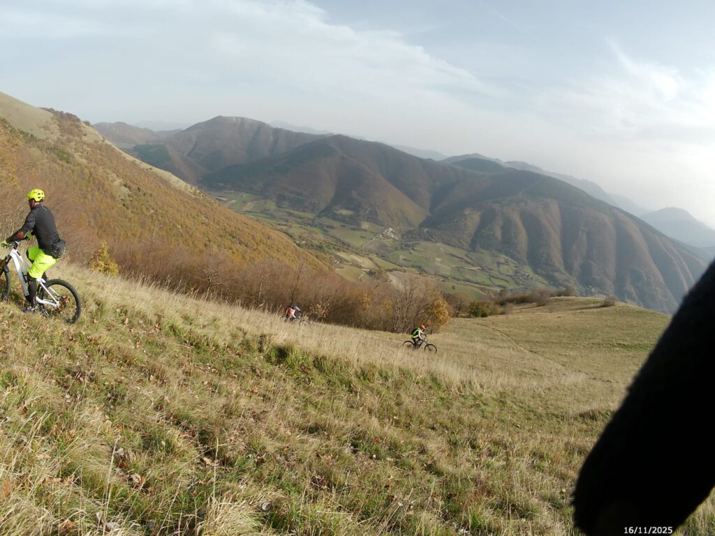 WhatsApp Image 2025-12-01 at 13.32.36